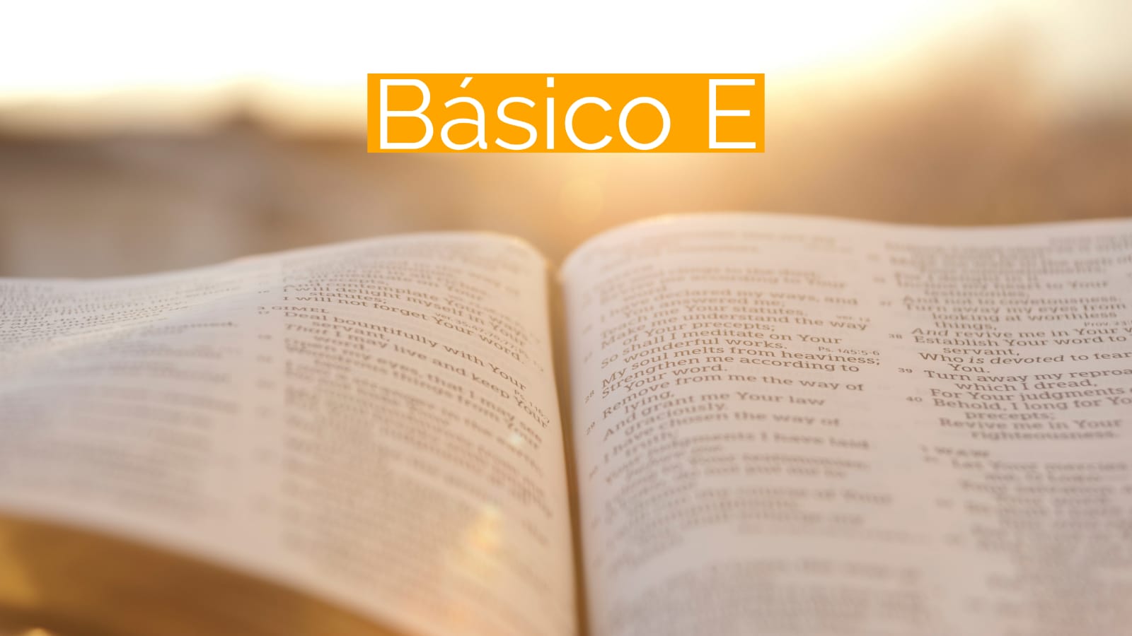 Básico E